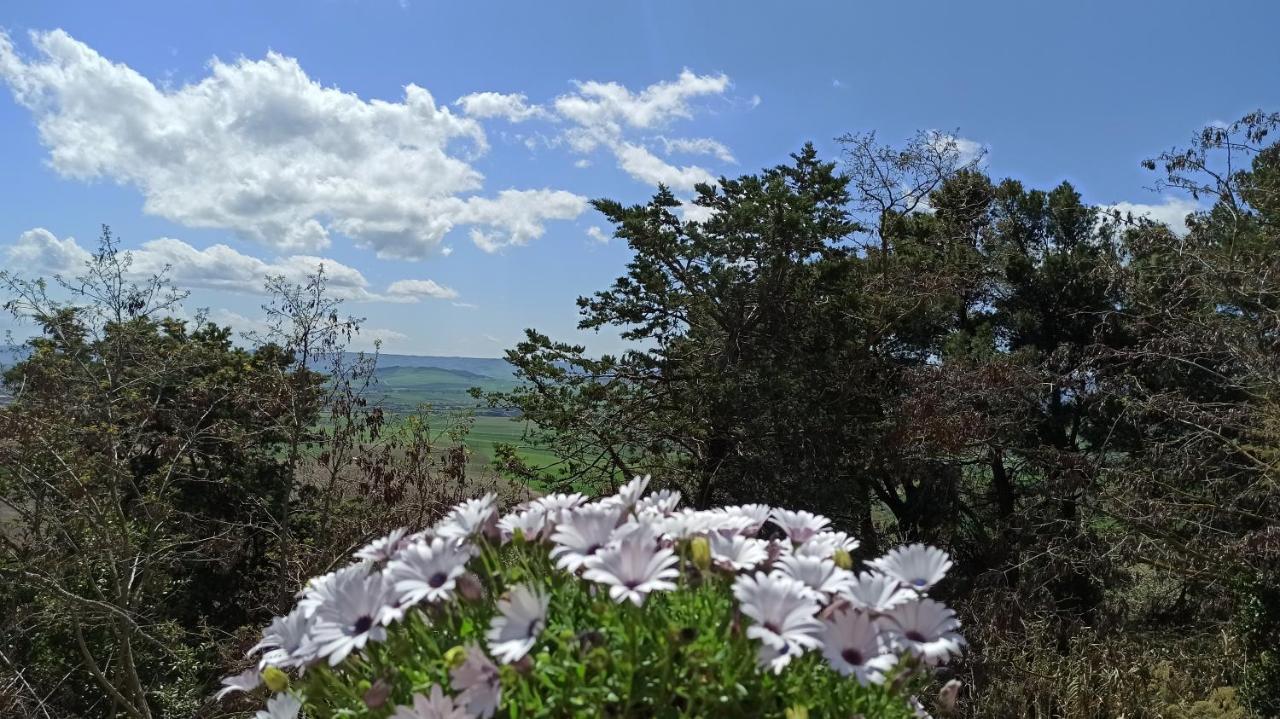 Masseria La Fiorita Matera Zewnętrze zdjęcie