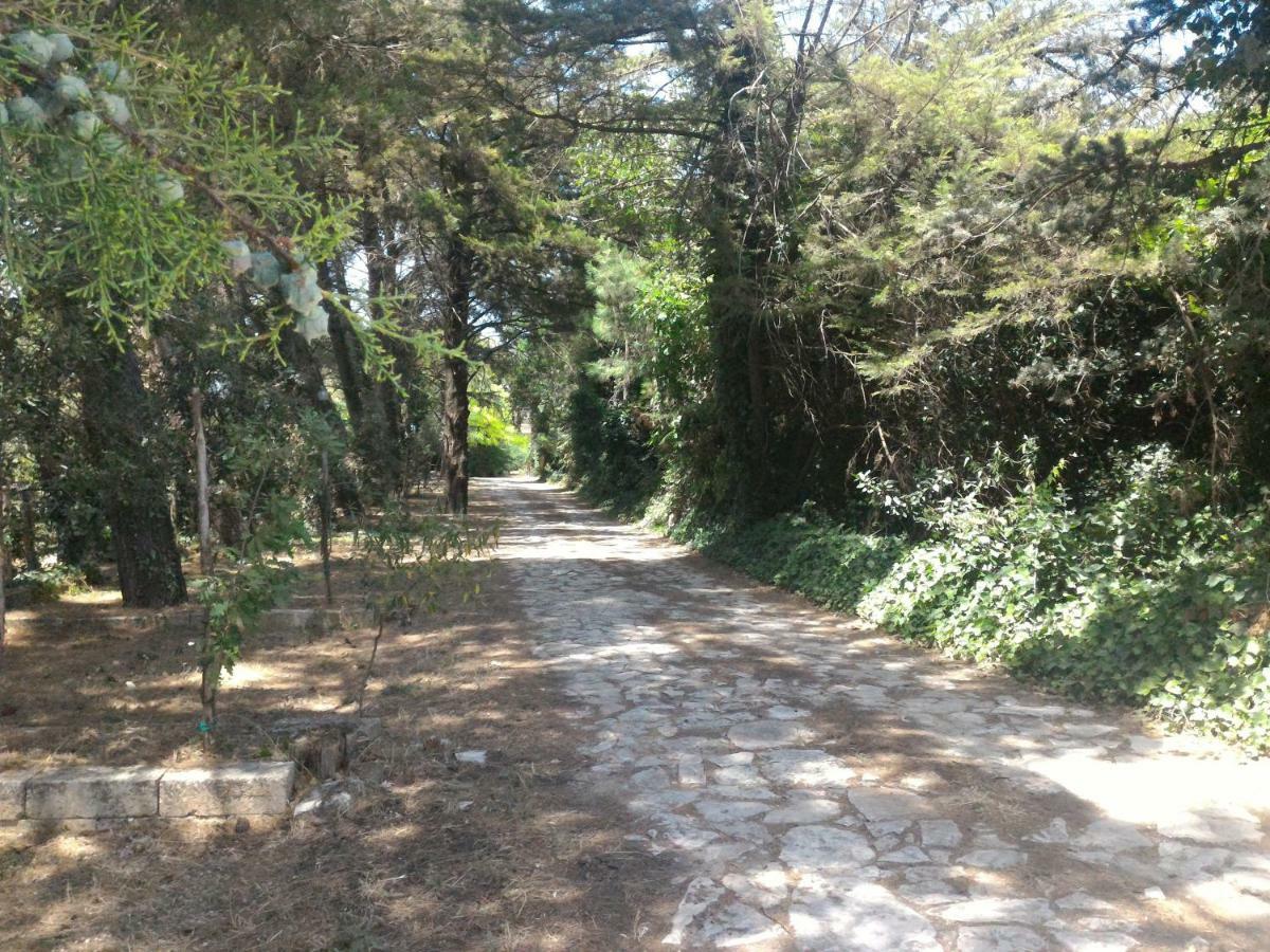 Masseria La Fiorita Matera Zewnętrze zdjęcie
