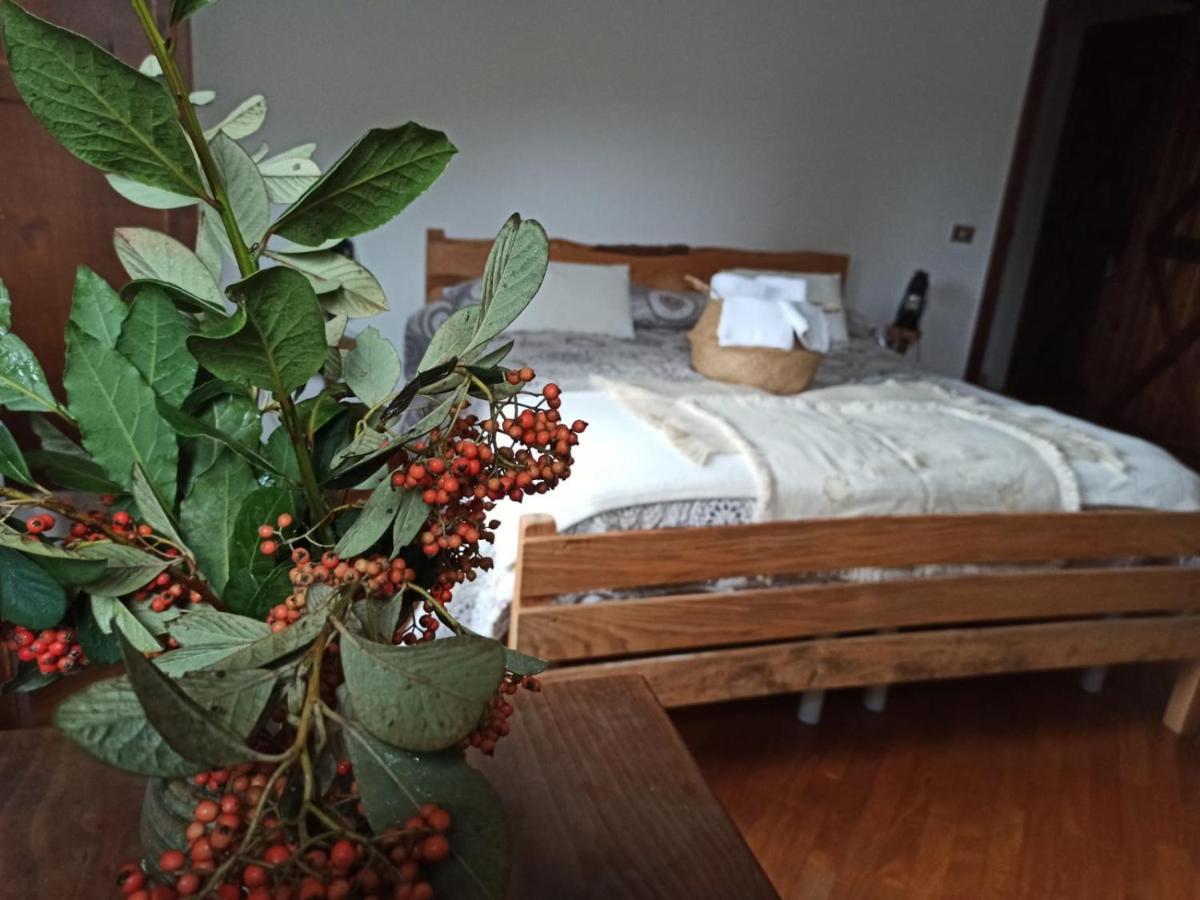 Masseria La Fiorita Matera Zewnętrze zdjęcie
